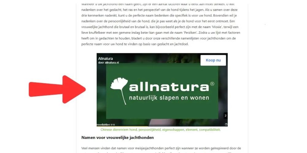 voorbeeld-video-advertentie-op-websites
