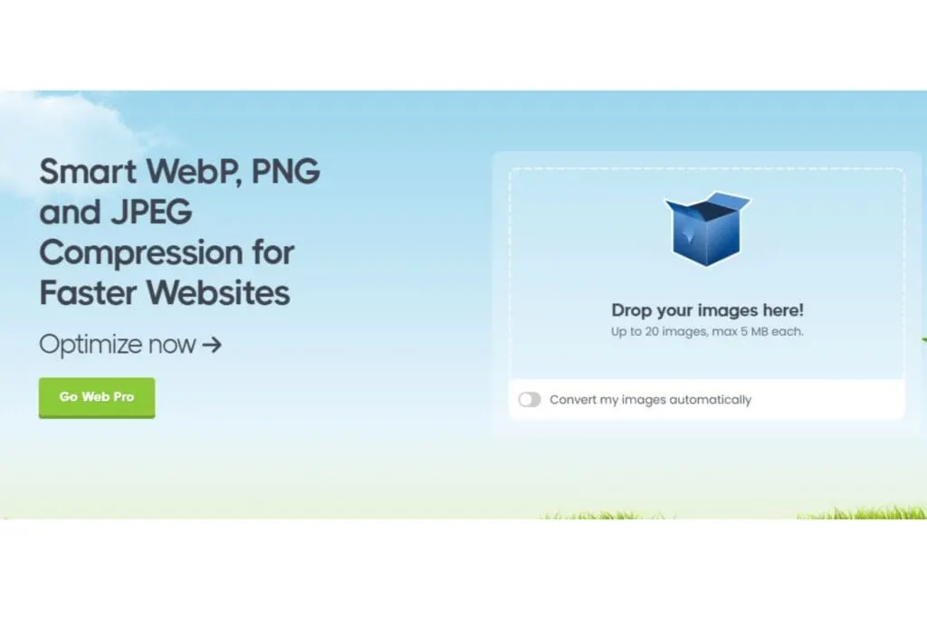 voorbeeld-tinypng-interface