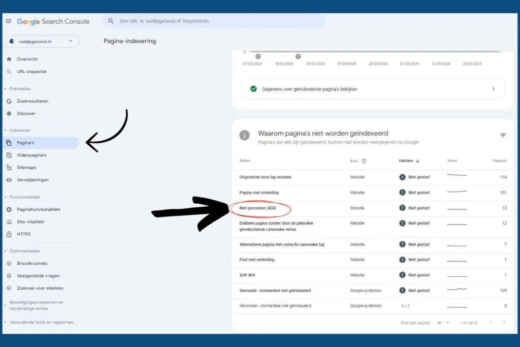 screenshot-404-pagina's-rapport-google-search-console