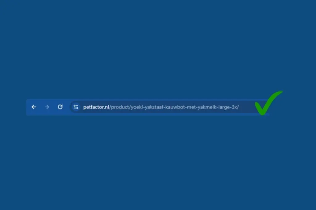 voorbeeld-juiste-url-product-pagina